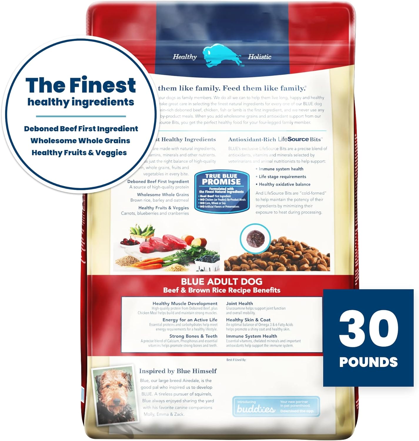 Blue Buffalo Blue Life Protection Formula Natural Adult Beef and Brown Rice Dry Dog Food -  Dry Dog Food Blue Buffalo