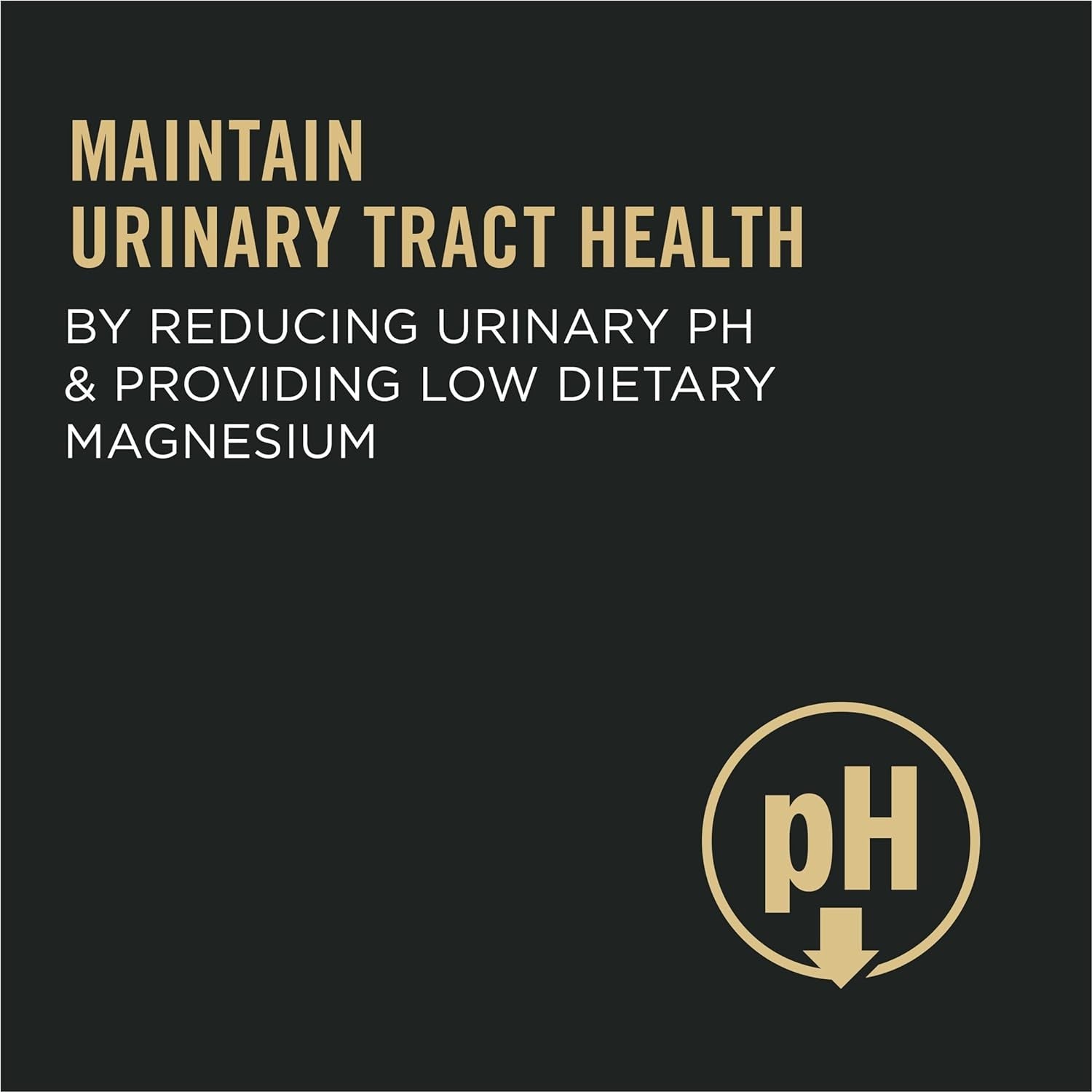Purina Pro Plan Urinary Tract Chicken & Rice Formula Dry Cat Food -  Dry Cat Food Purina Pro Plan