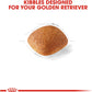 Royal Canin Breed Health Nutrition Golden Retriever Adult Dry Dog Food, 30 LB -  Dry Dog Food Royal Canin