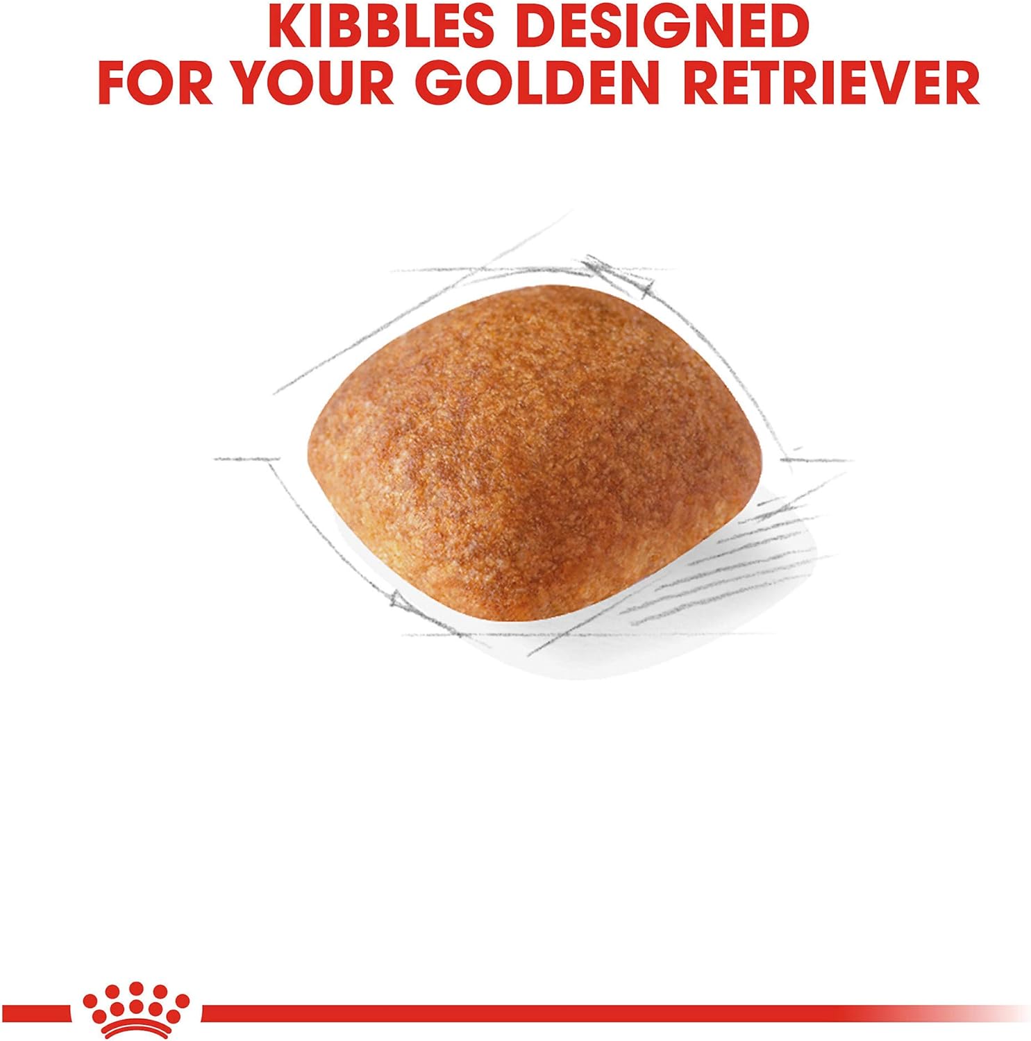 Royal Canin Breed Health Nutrition Golden Retriever Adult Dry Dog Food, 30 LB -  Dry Dog Food Royal Canin