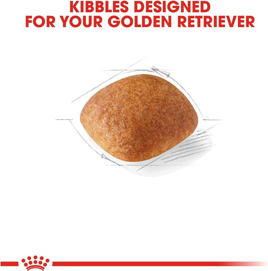 Royal Canin Breed Health Nutrition Golden Retriever Adult Dry Dog Food, 30 LB -  Dry Dog Food Royal Canin