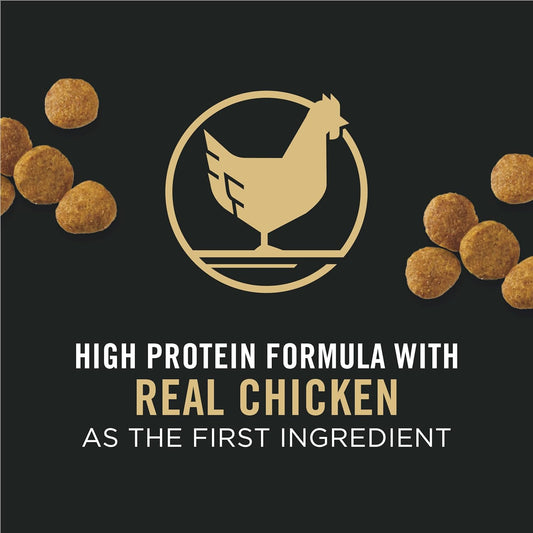 Purina Pro Plan High Protein Dry Puppy Food, Chicken and Rice Formula -  Dry Dog Food Purina Pro Plan