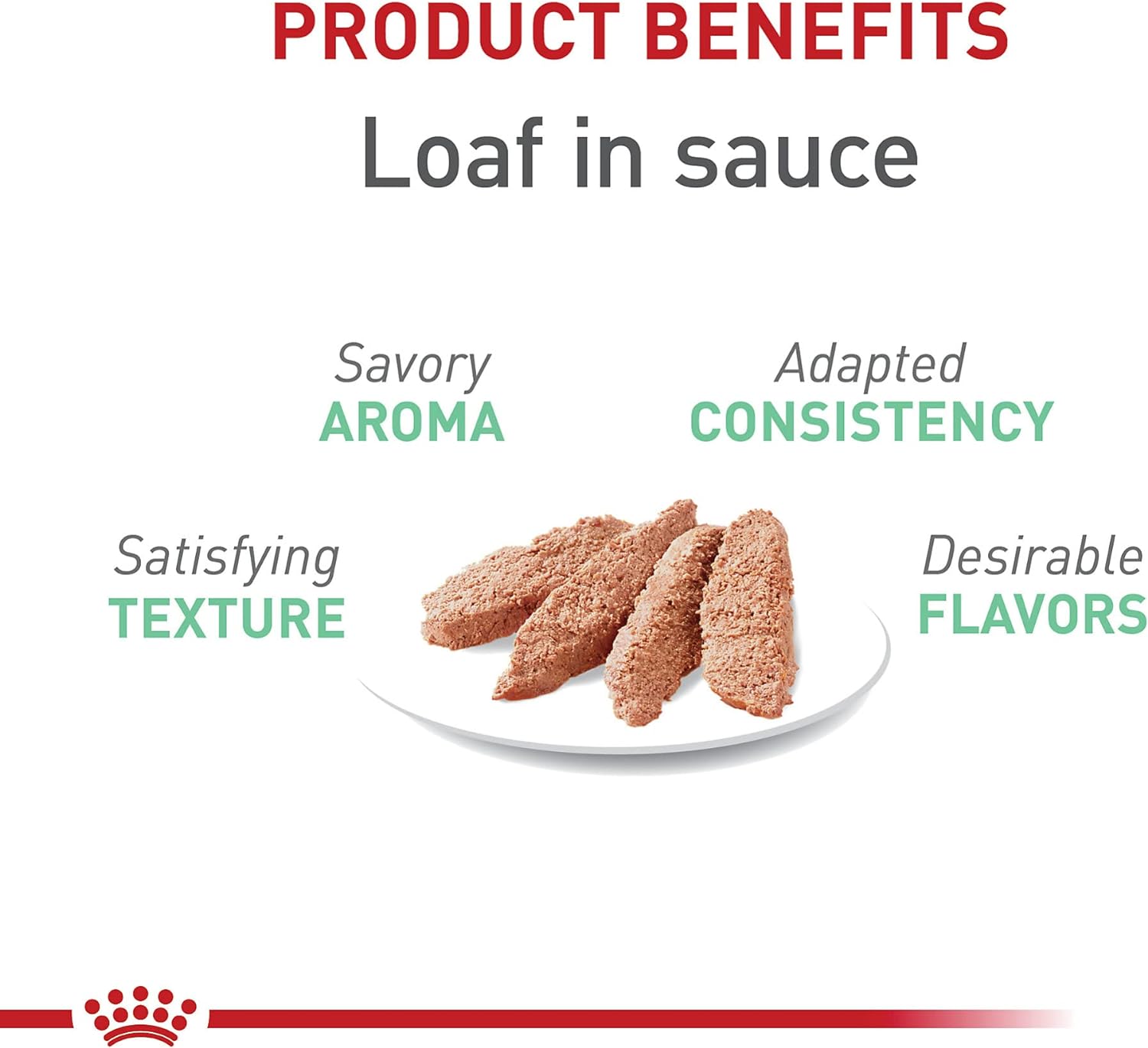 Royal Canin Feline Care Nutrition Digestive Care Loaf in Sauce Canned Cat Food -  Dry Cat Food Royal Canin