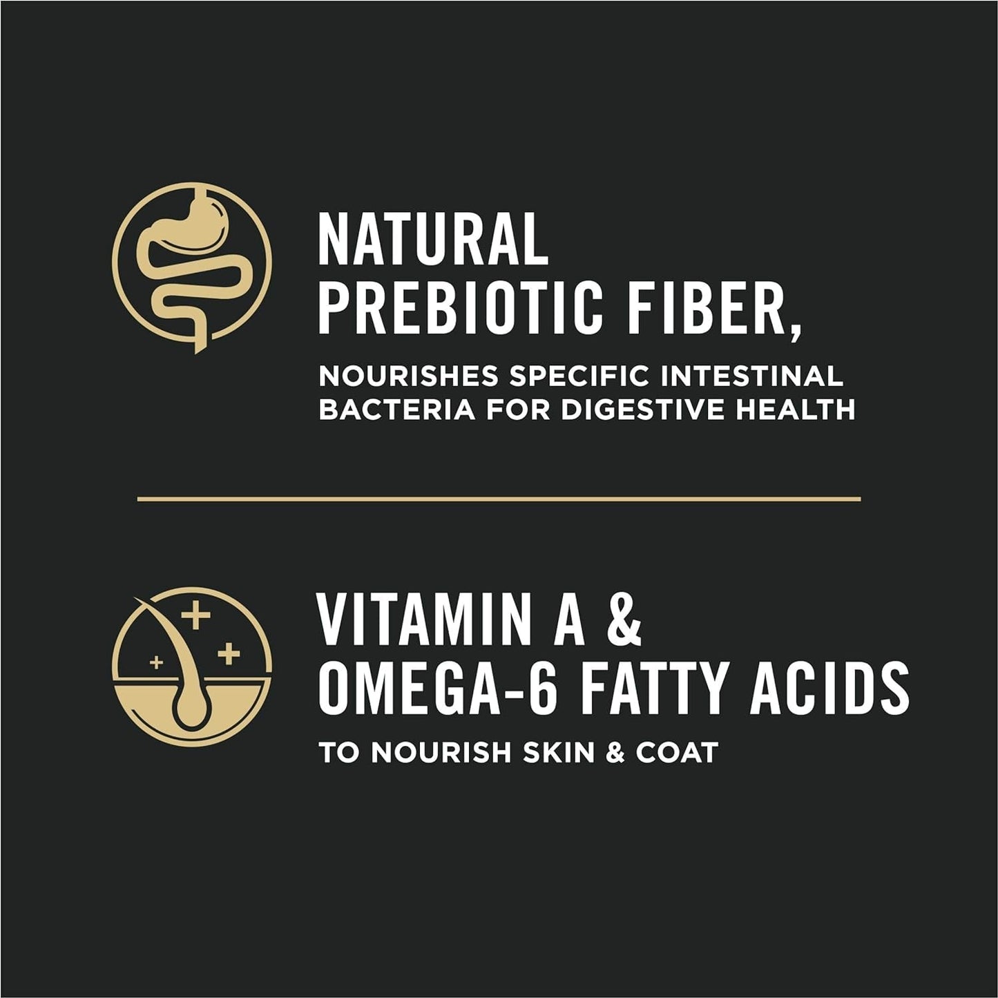 Purina Pro Plan High Protein with Probiotics Salmon & Rice Formula Dry Cat Food -  Dry Cat Food Purina Pro Plan