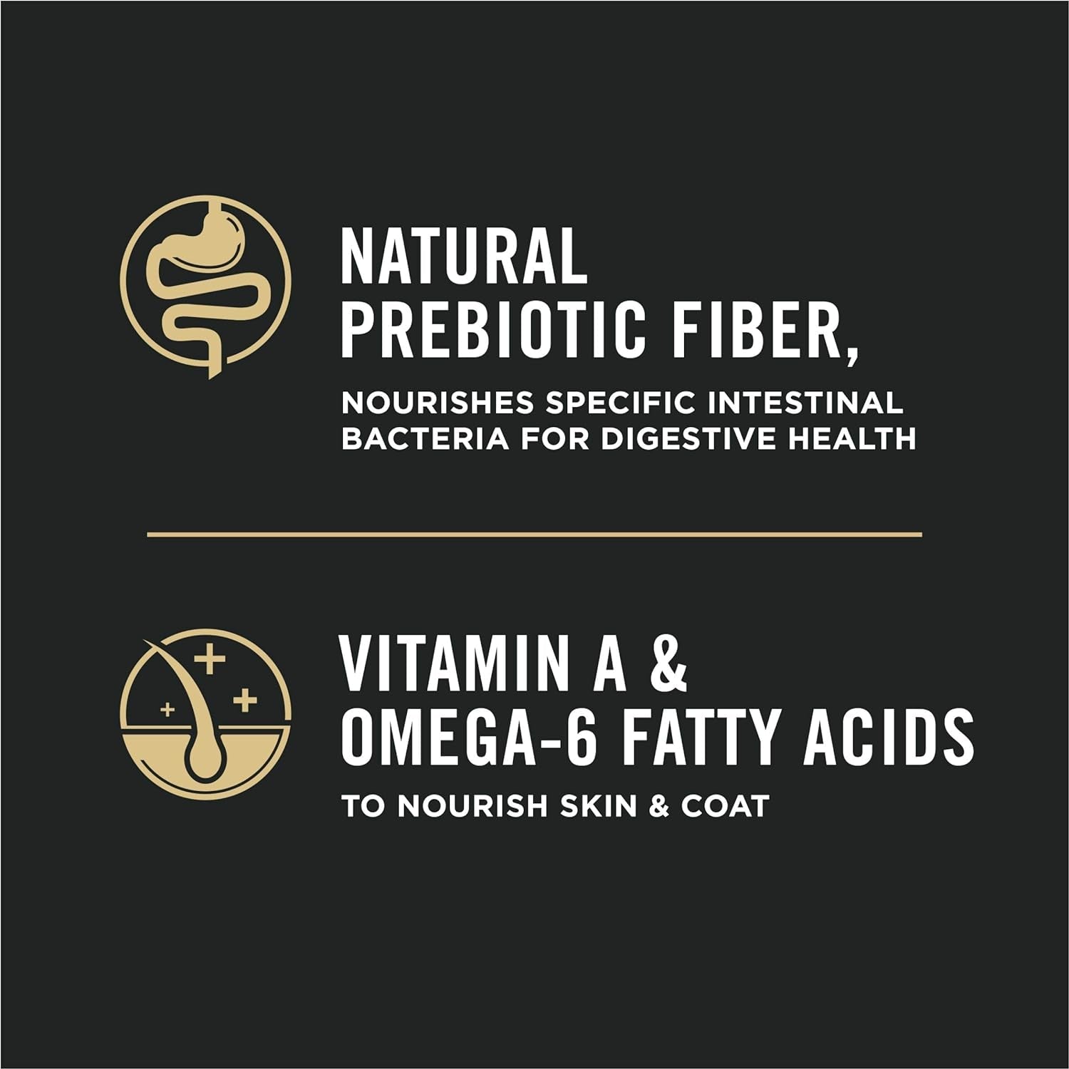 Purina Pro Plan High Protein with Probiotics Salmon & Rice Formula Dry Cat Food -  Dry Cat Food Purina Pro Plan