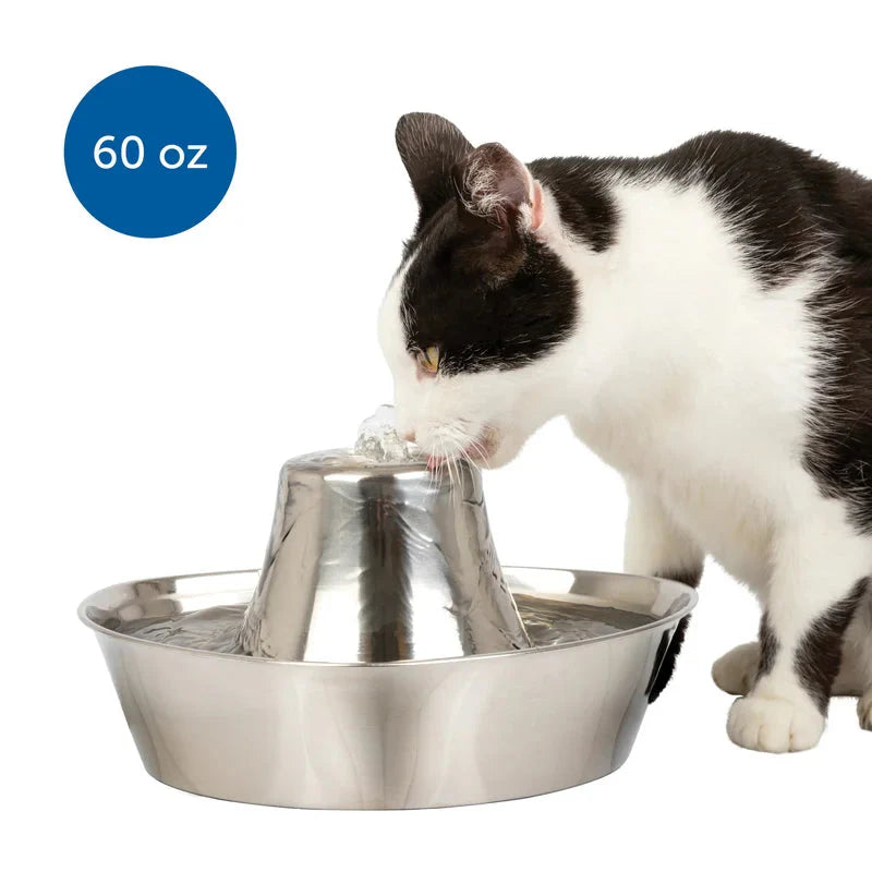 PetSafe Seaside Stainless Cat & Dog Fountain - 60 Oz Capacity -  Pet Fountain PetSafe