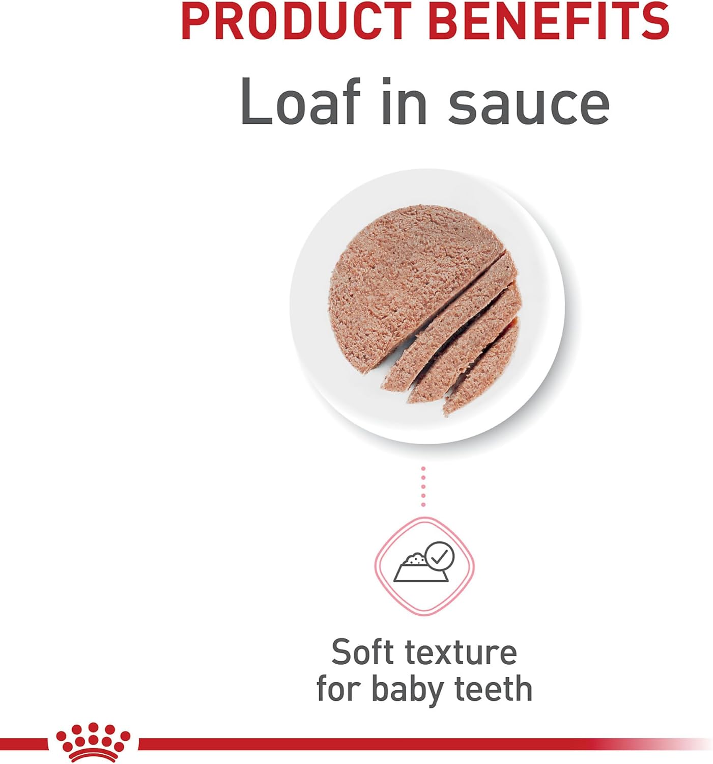 Royal Canin Feline Health Nutrition Kitten Loaf in Sauce Canned Cat Food -  Wet Cat Food Royal Canin