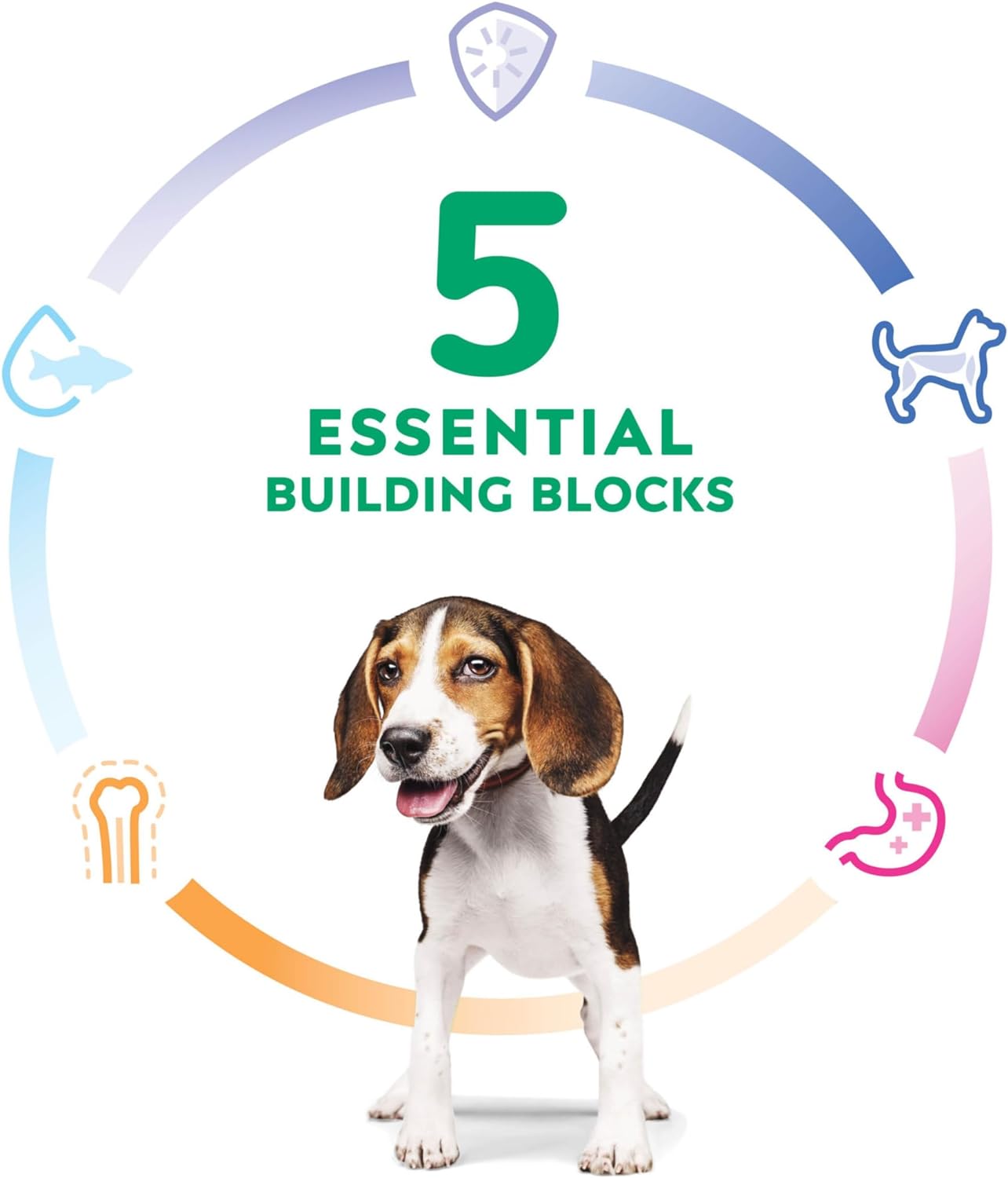 Hill's Science Diet Chicken Meal & Barley Recipe Dry Puppy Food -  Dry Dog Food Hill's Science