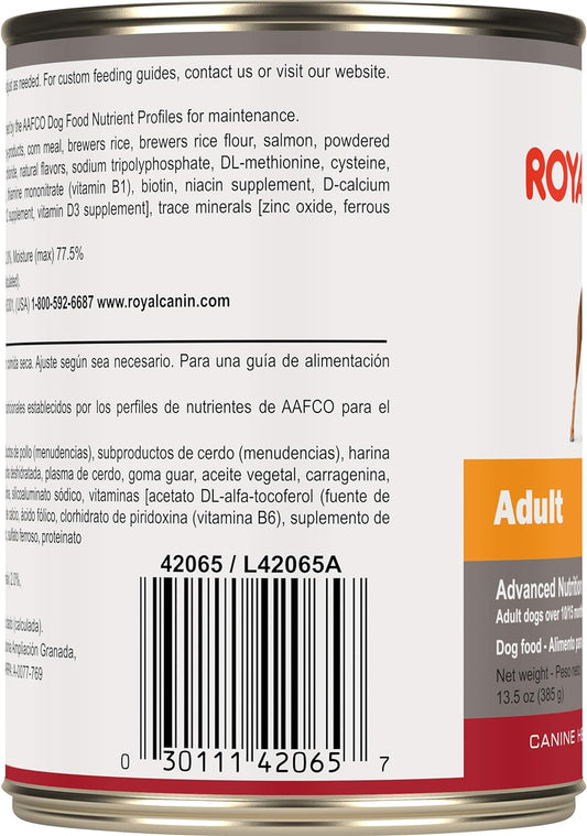 Royal Canin Canine Health Nutrition Adult In Gel Wet Dog Food, 13.5 oz, 12-Pack -  Wet Dog Food Royal Canin
