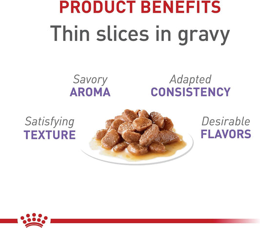 Royal Canin Feline Spayed/Neutered Thin Slices In Gravy Canned Cat Food -  Wet Cat Food Royal Canin