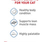 Royal Canin Feline Weight Care Thin Slices in Gravy Canned Adult Wet Cat Food -  Wet Cat Food Royal Canin