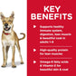 Hill's Science Diet Adult 1-6 Beef & Barley Entree Canned Dog Food, 13 oz., 12-Pack -  Wet Dog Food Hill's Science