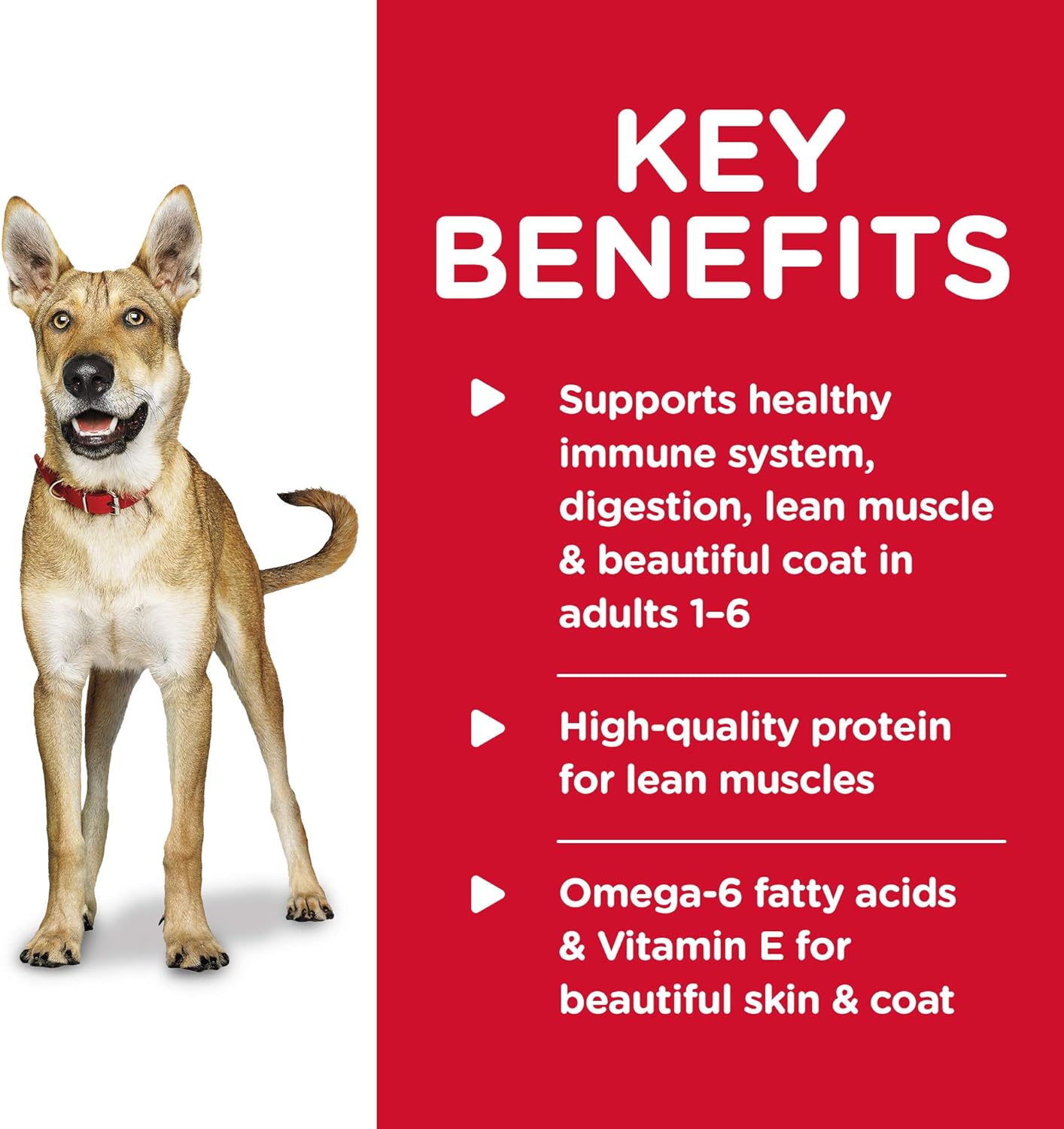 Hill's Science Diet Adult 1-6 Beef & Barley Entree Canned Dog Food, 13 oz., 12-Pack -  Wet Dog Food Hill's Science