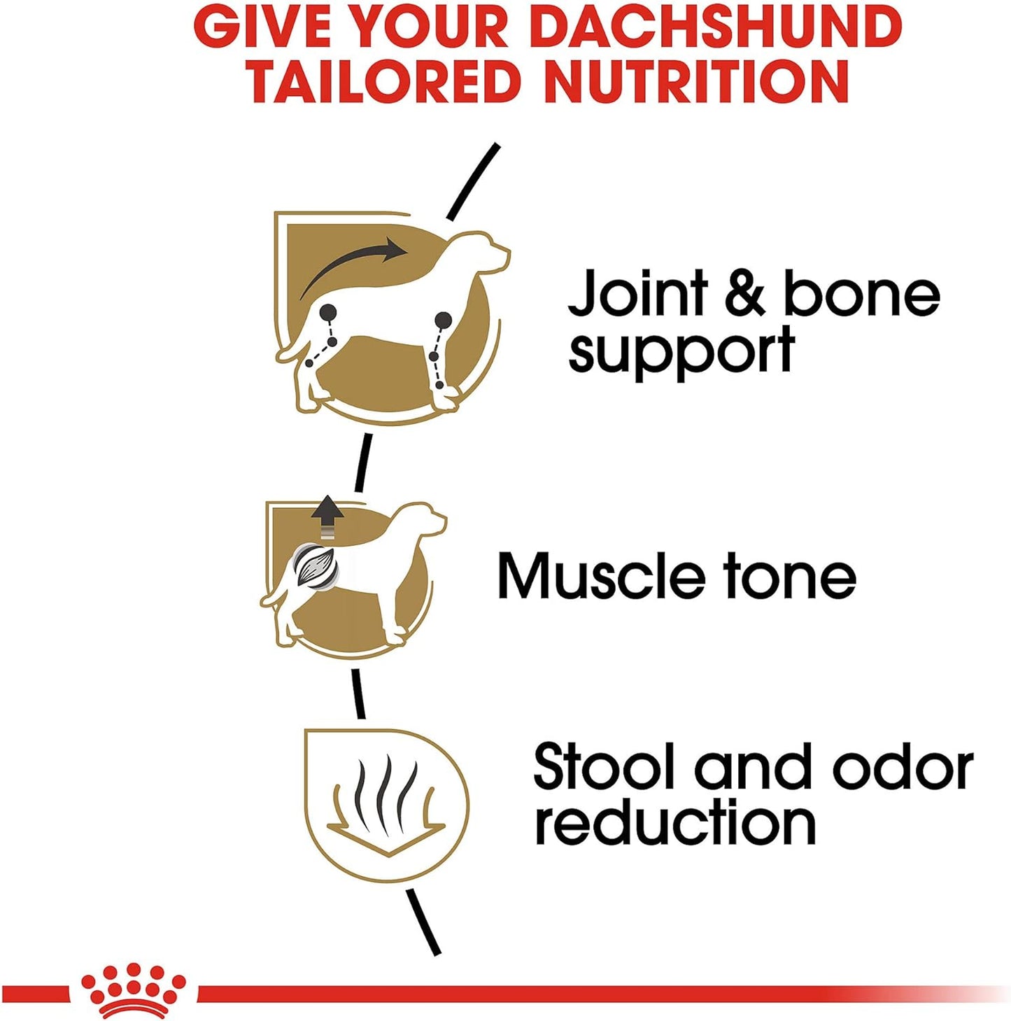 Royal Canin Breed Health Nutrition Dachshund Adult Dry Dog Food, 10 LB -  Dry Dog Food Royal Canin