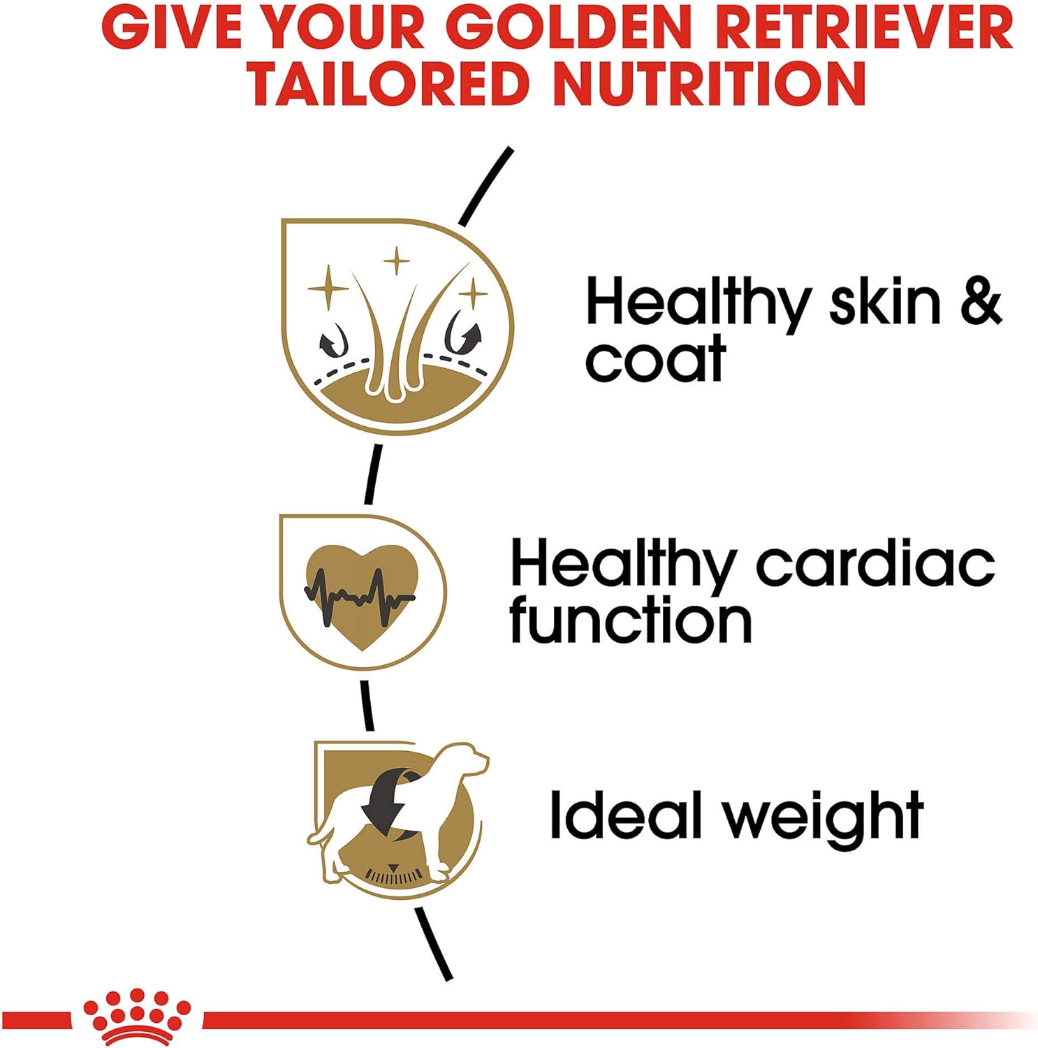 Royal Canin Breed Health Nutrition Golden Retriever Adult Dry Dog Food, 30 LB -  Dry Dog Food Royal Canin
