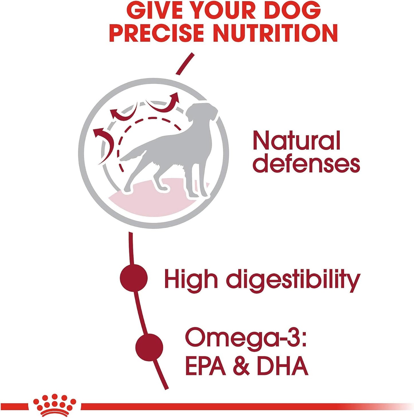 Royal Canin Size Health Nutrition Medium Breed Adult Dry Dog Food -  Dry Dog Food Royal Canin