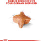 Royal Canin Breed Health Nutrition German Shepherd Adult Dry Dog Food -  Dry Dog Food Royal Canin