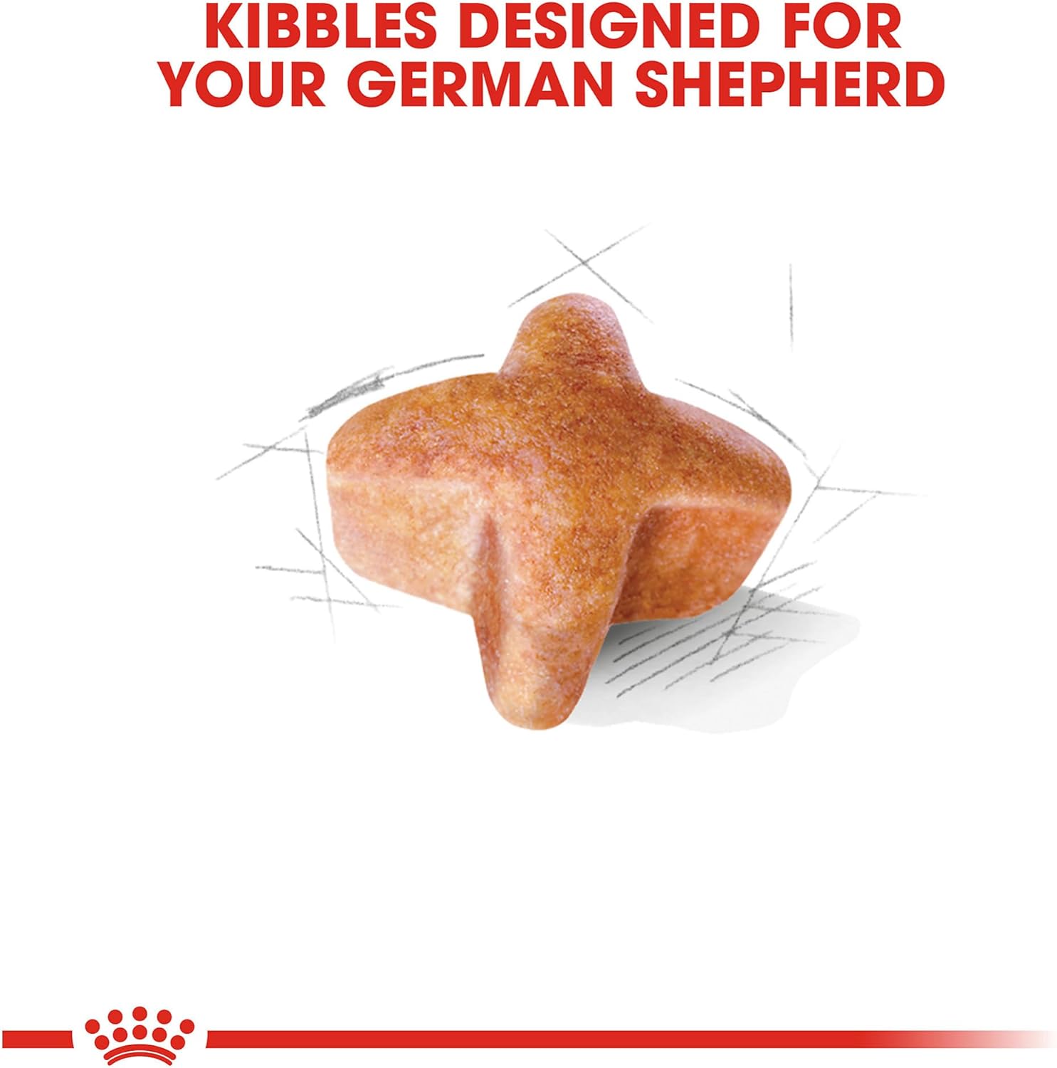 Royal Canin Breed Health Nutrition German Shepherd Adult Dry Dog Food -  Dry Dog Food Royal Canin