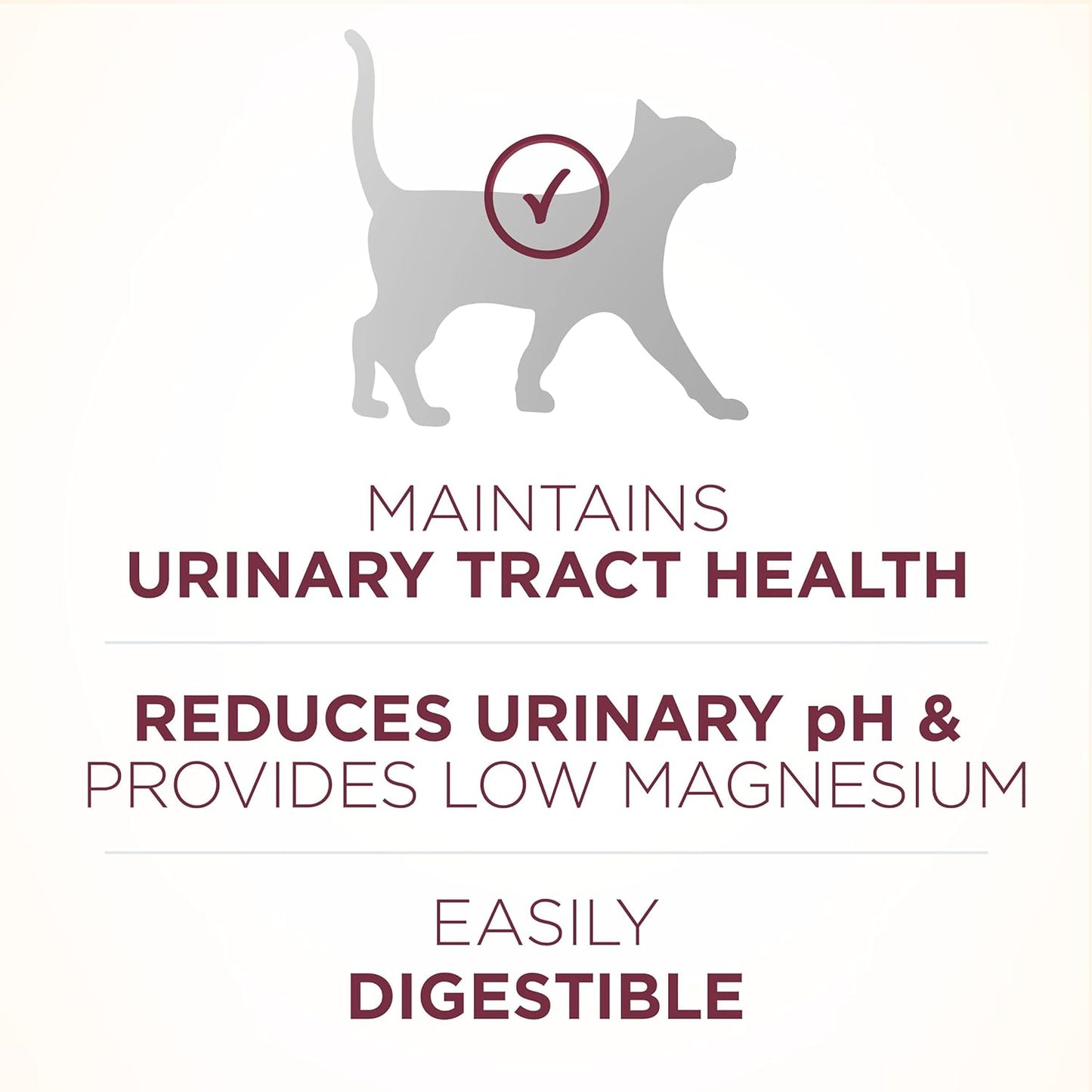 Purina ONE High Protein +Plus Urinary Tract Health Adult Dry Cat Food -  Dry Cat Food Purina ONE