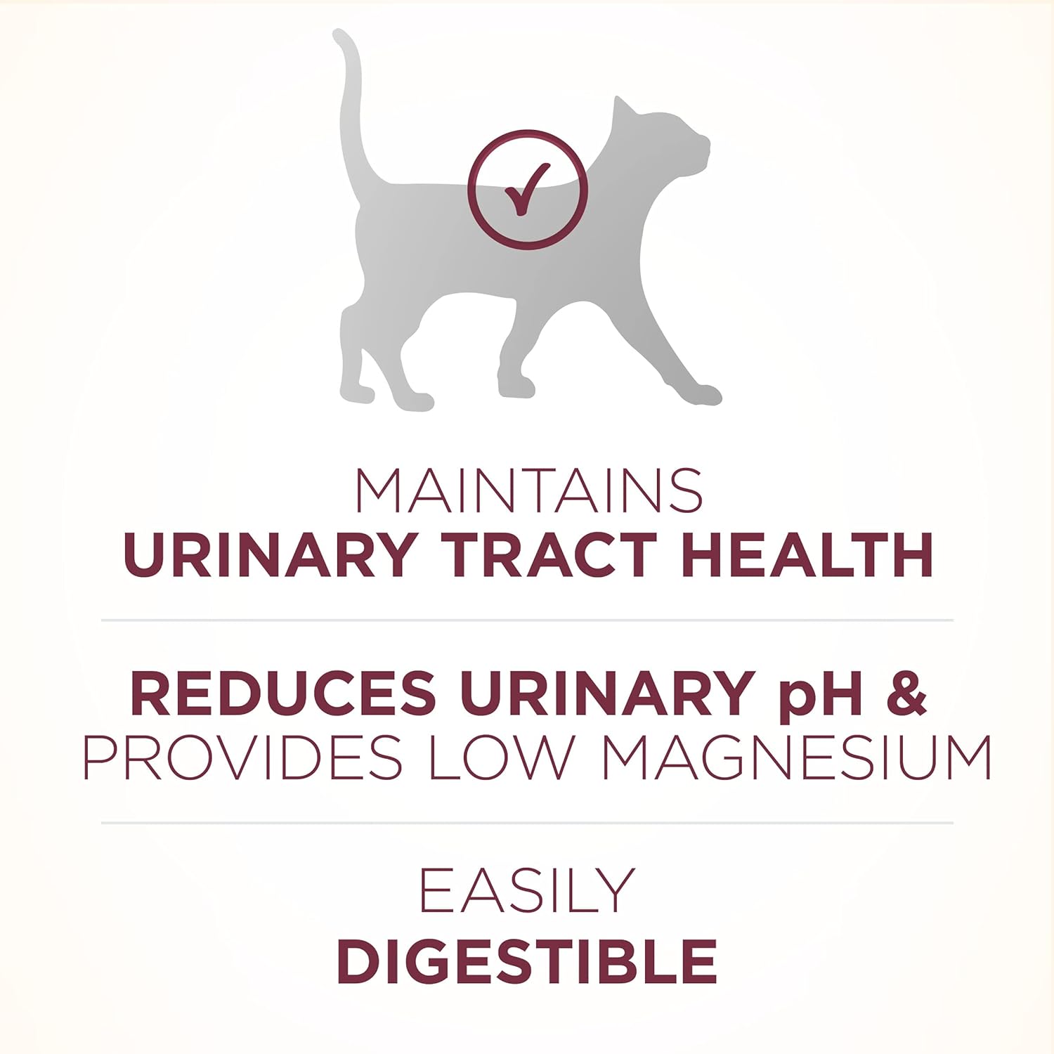 Purina ONE High Protein +Plus Urinary Tract Health Adult Dry Cat Food -  Dry Cat Food Purina ONE
