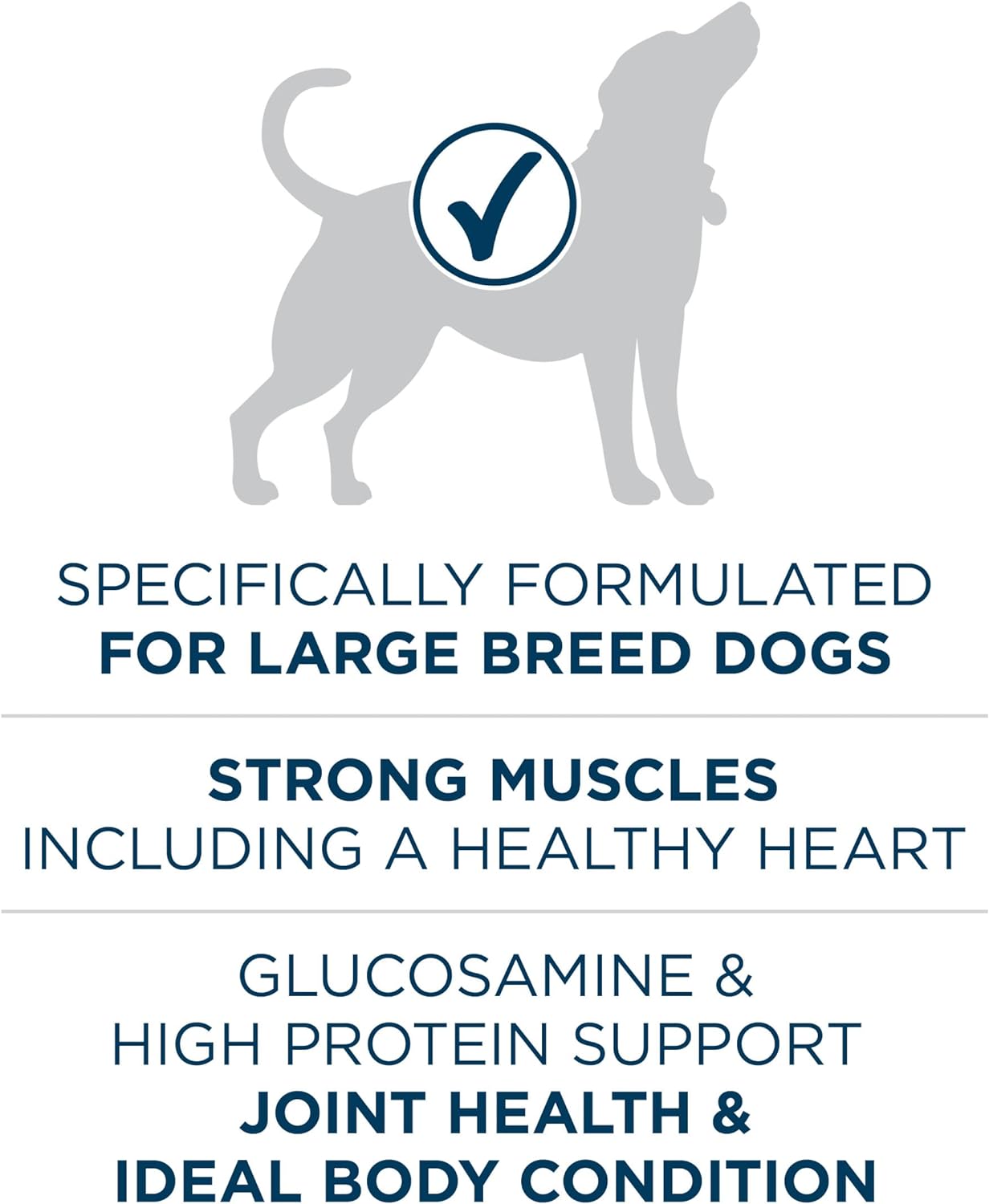 PURINA ONE Plus Large Breed Adult Dry Dog Food Formula Saving UpTo 50% -  Dry Dog Food Purina ONE
