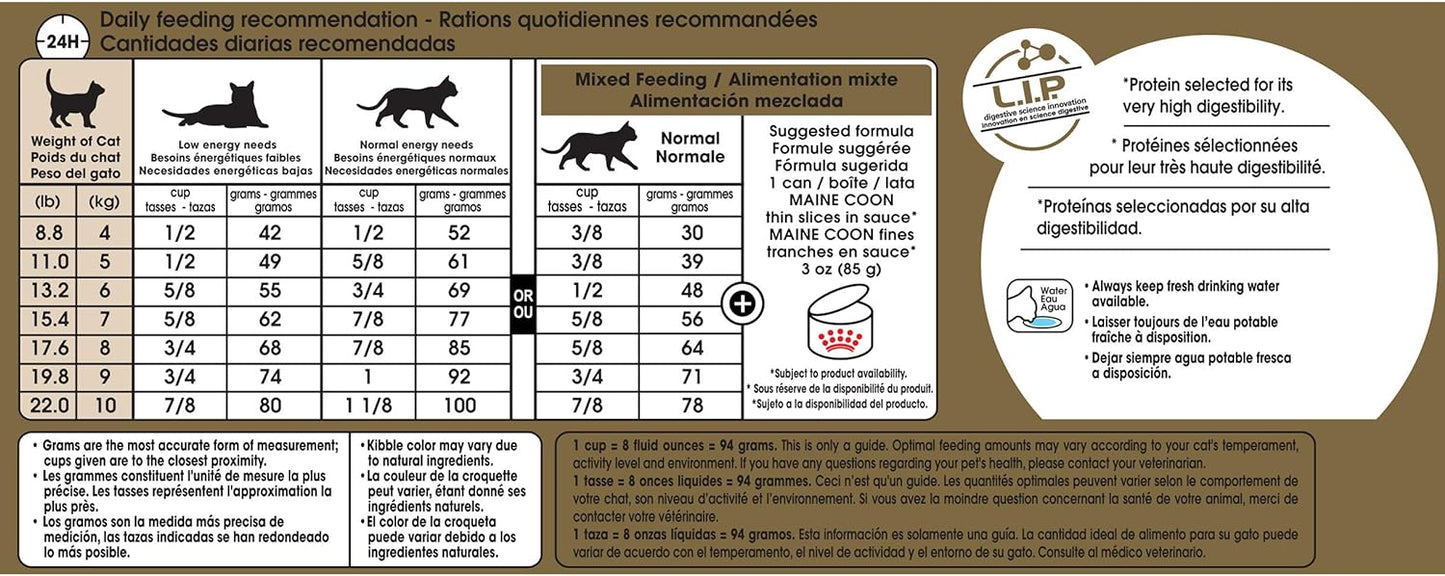 Royal Canin Maine Coon Breed Adult Dry Cat Food, 6 LB -  Dry Cat Food Royal Canin
