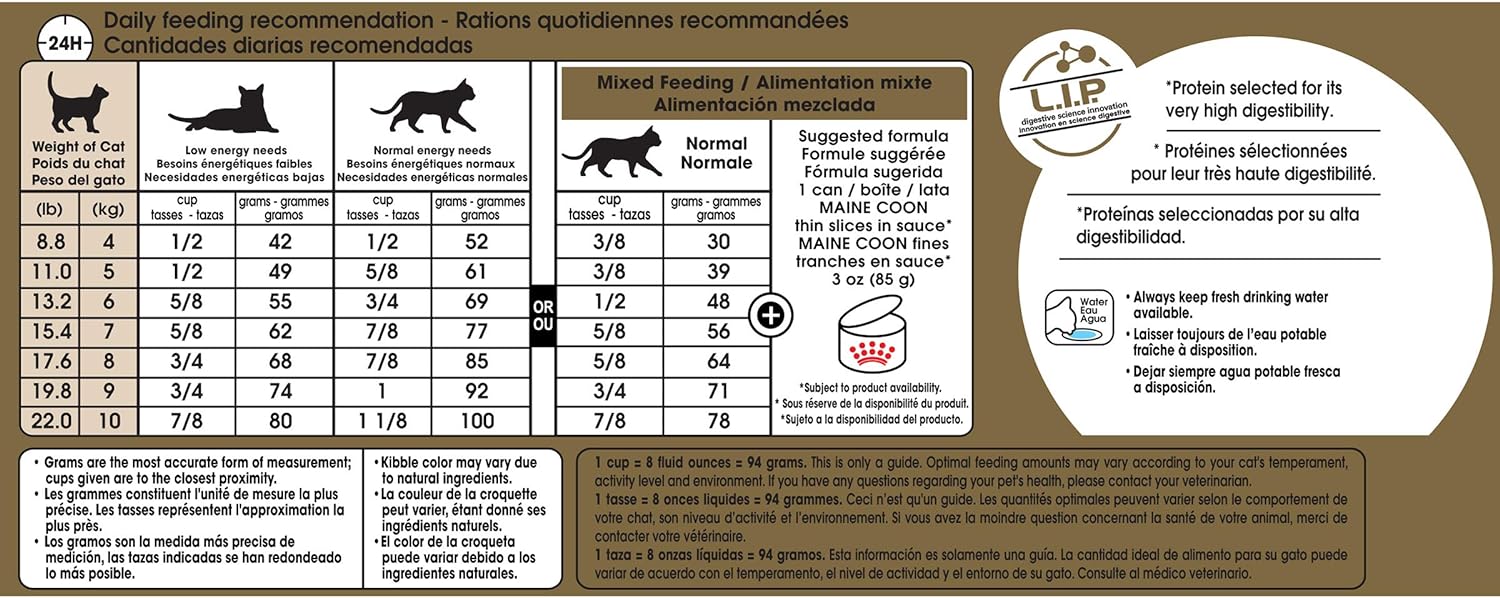 Royal Canin Maine Coon Breed Adult Dry Cat Food, 6 LB -  Dry Cat Food Royal Canin