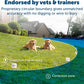 PetSafe Stay & Play Compact Wireless Fence for Dogs Portable Dog Fencing -  Dog Gates & Pens PetSafe