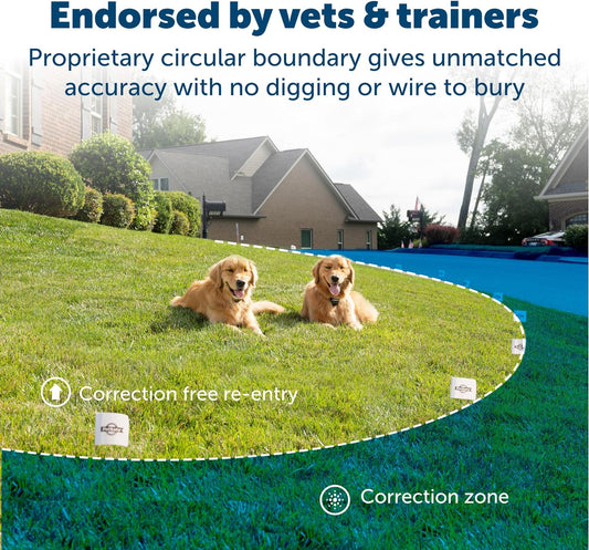 PetSafe Stay & Play Compact Wireless Fence for Dogs Portable Dog Fencing -  Dog Gates & Pens PetSafe