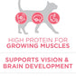 Purina ONE High Protein Natural Dry Kitten Food +Plus Healthy Kitten Formula -  Dry Cat Food Purina ONE