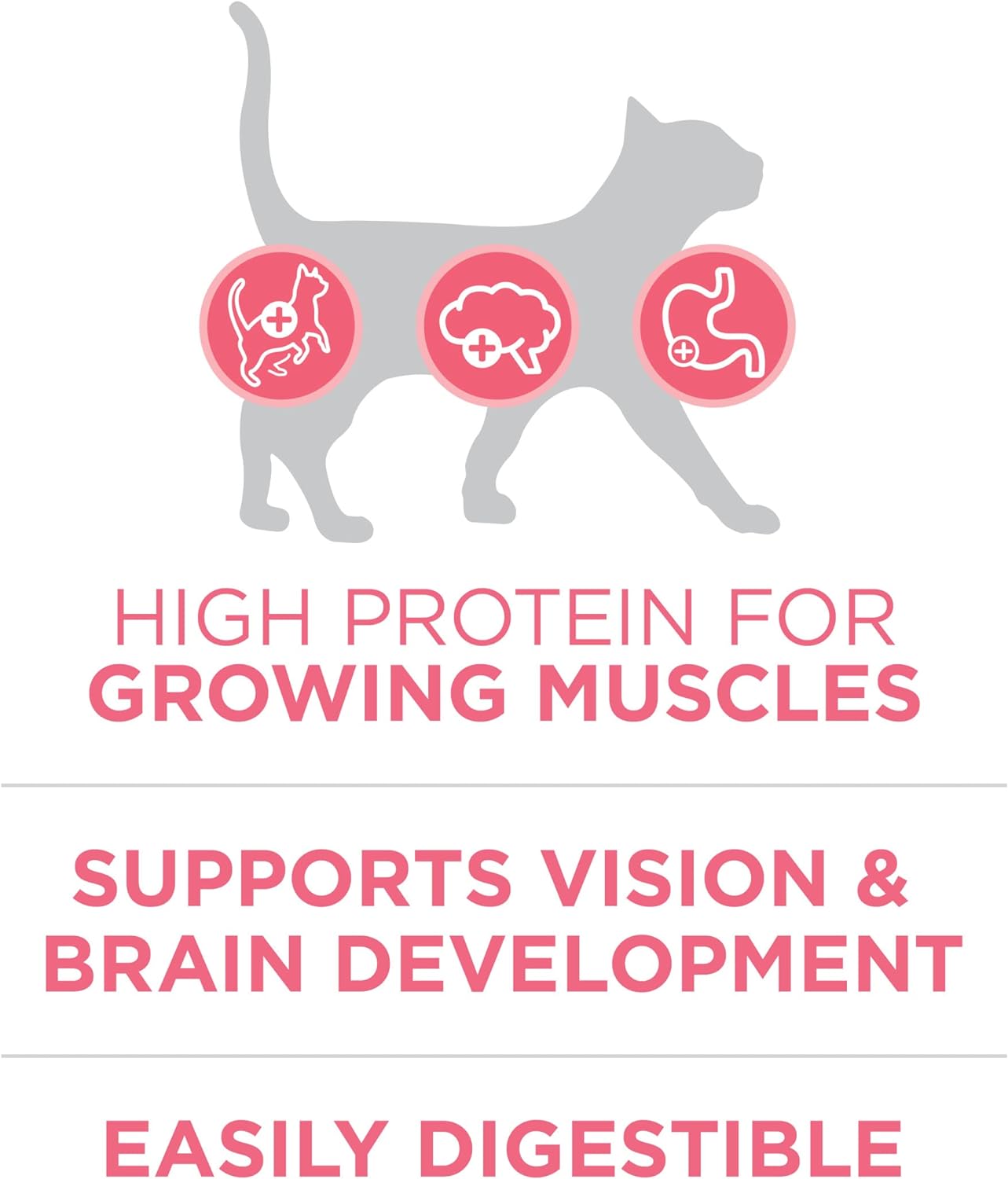 Purina ONE High Protein Natural Dry Kitten Food +Plus Healthy Kitten Formula -  Dry Cat Food Purina ONE