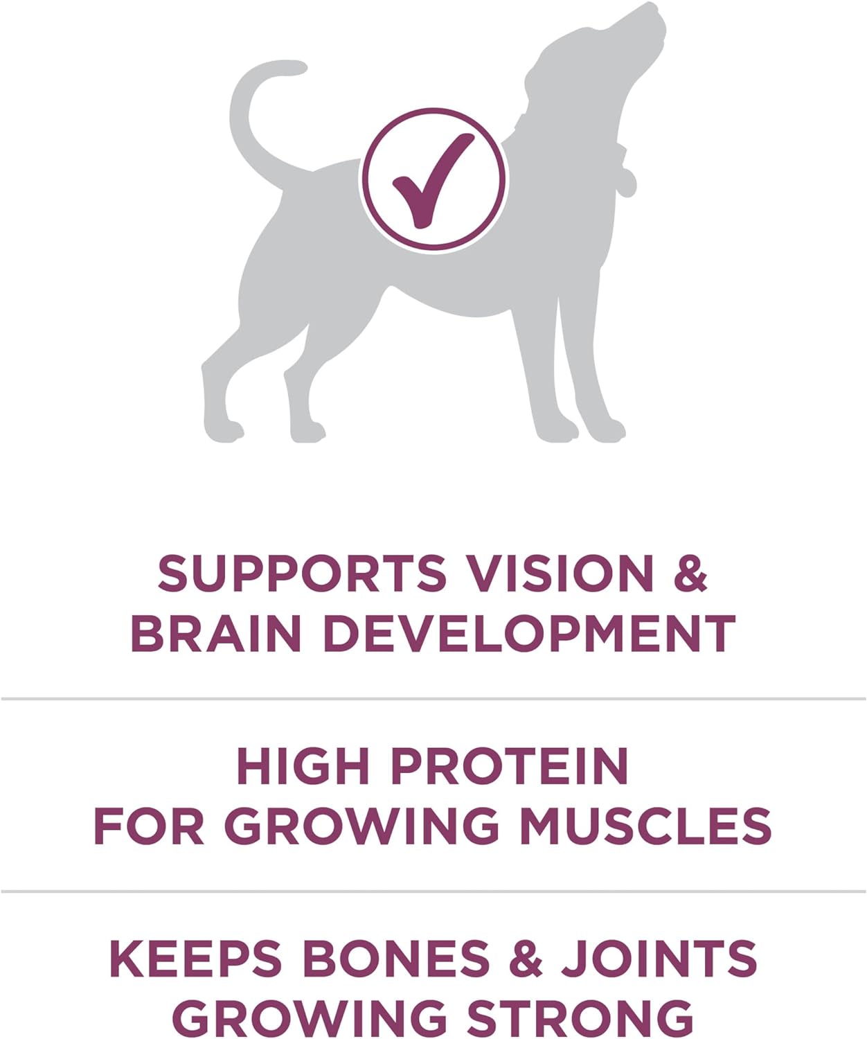Purina ONE Plus Healthy Puppy Formula High Protein Natural Dry Puppy Food -  Dry Dog Food Purina ONE