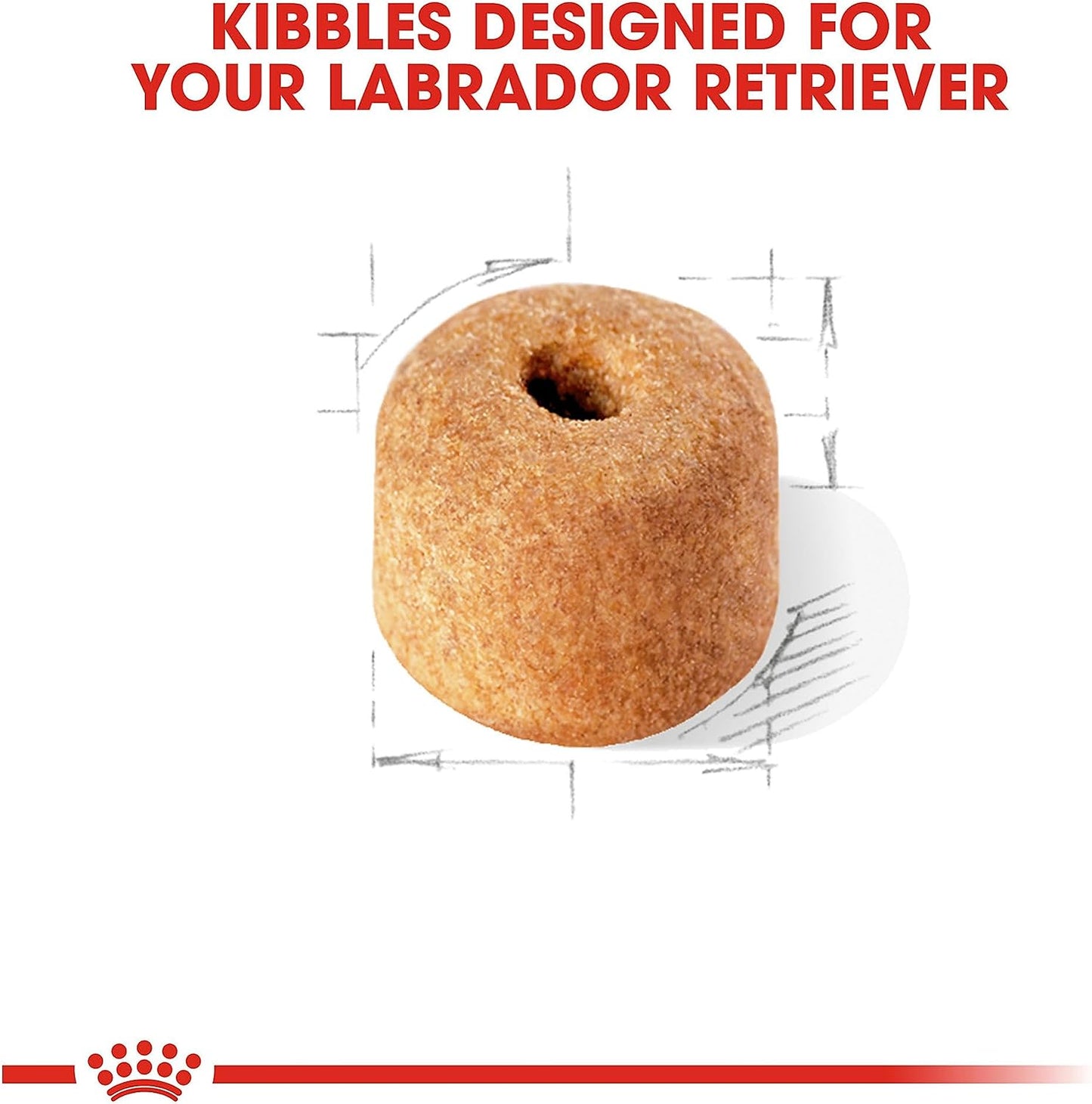 Royal Canin Breed Health Nutrition Labrador Retriever Adult Dry Dog Food -  Dry Dog Food Royal Canin