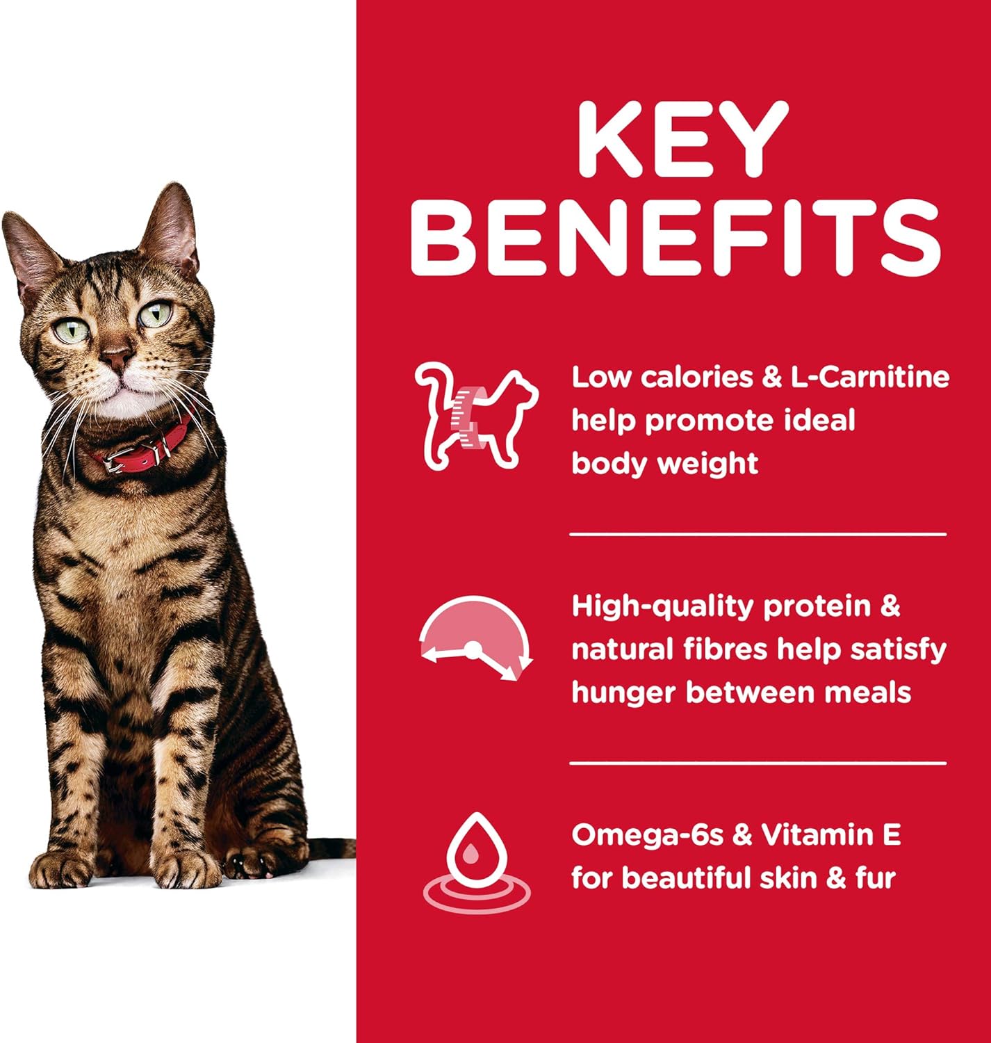 Hill's Science Diet Adult 1-6 Light Chicken Recipe Dry Cat Food -  Dry Cat Food Hill's Science