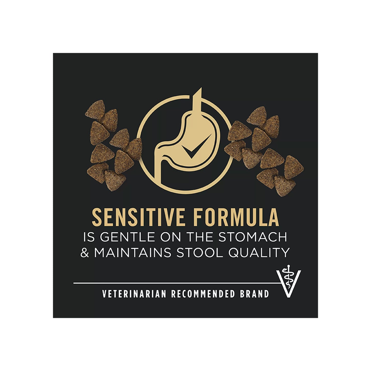 Purina Pro Plan Sensitive Skin & Stomach Adult Dry Dog Food - Salmon & Rice, No Corn, Wheat or Soy