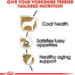 Royal Canin Yorkshire Terrier Adult Breed Health Nutrition Dry Dog Food -  Dry Dog Food Royal Canin
