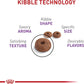 Royal Canin Appetite Control Spayed/Neutered Dry Adult Cat Food, 6 LB -  Dry Cat Food Royal Canin