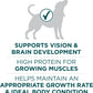 Purina ONE Natural High Protein Dry Puppy Food Plus Large Breed Formula -  Dry Dog Food Purina ONE