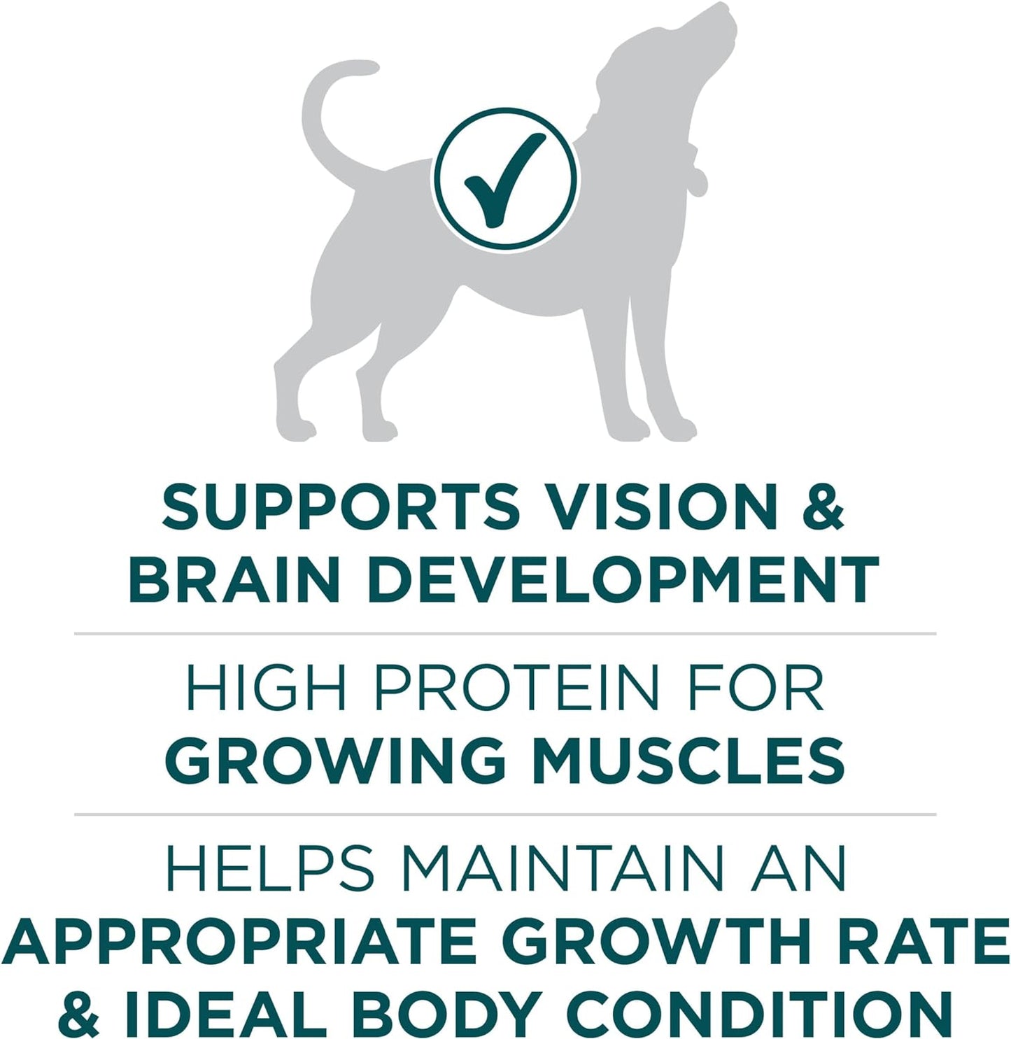 Purina ONE Natural High Protein Dry Puppy Food Plus Large Breed Formula -  Dry Dog Food Purina ONE