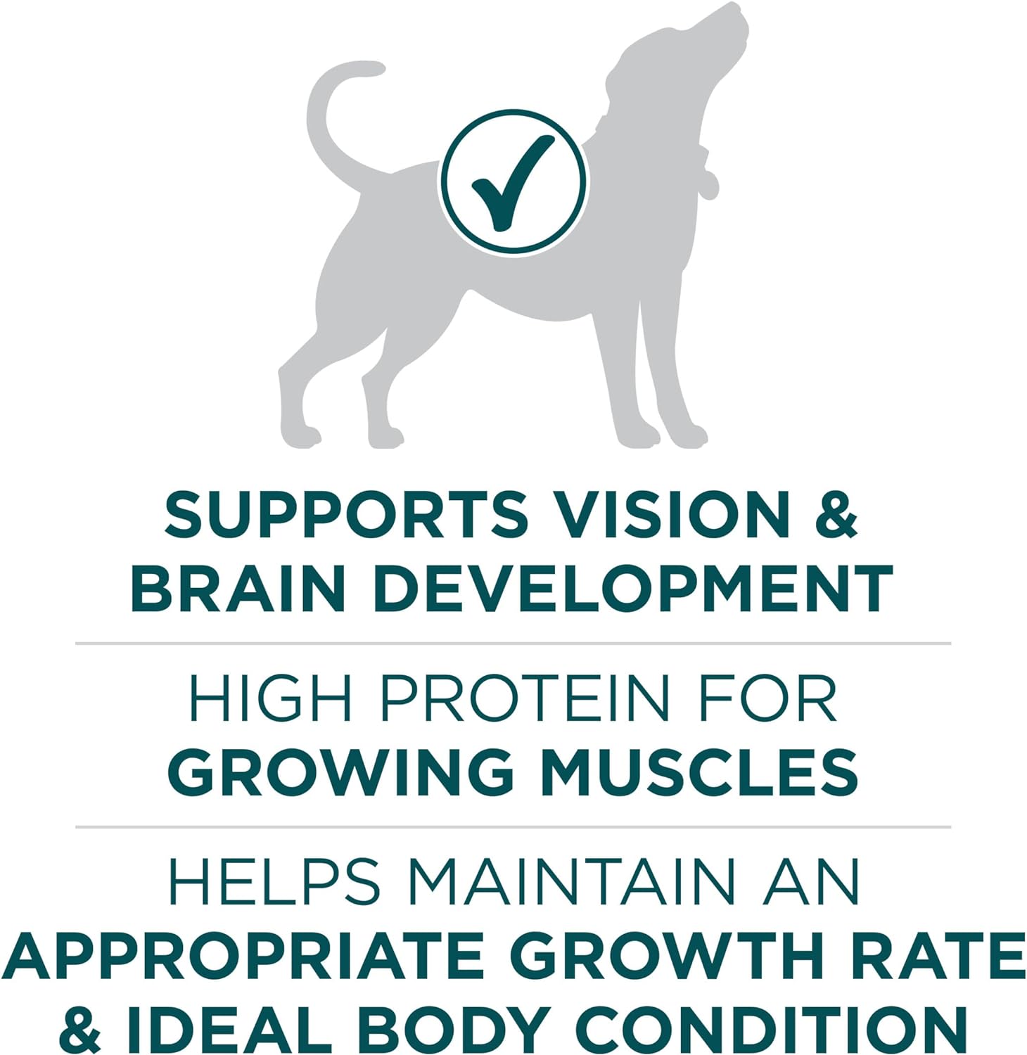 Purina ONE Natural High Protein Dry Puppy Food Plus Large Breed Formula -  Dry Dog Food Purina ONE