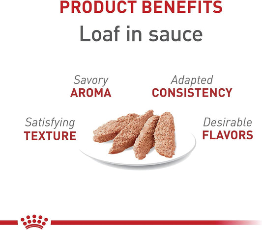 Royal Canin Feline Adult Instinctive Loaf In Sauce Canned Cat Food -  Wet Cat Food Royal Canin