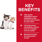 Hill's Science Diet Canned Wet Cat Food, Kitten, Healthy Cuisine, Roasted Chicken & Rice -  Wet Cat Food Hill's Science