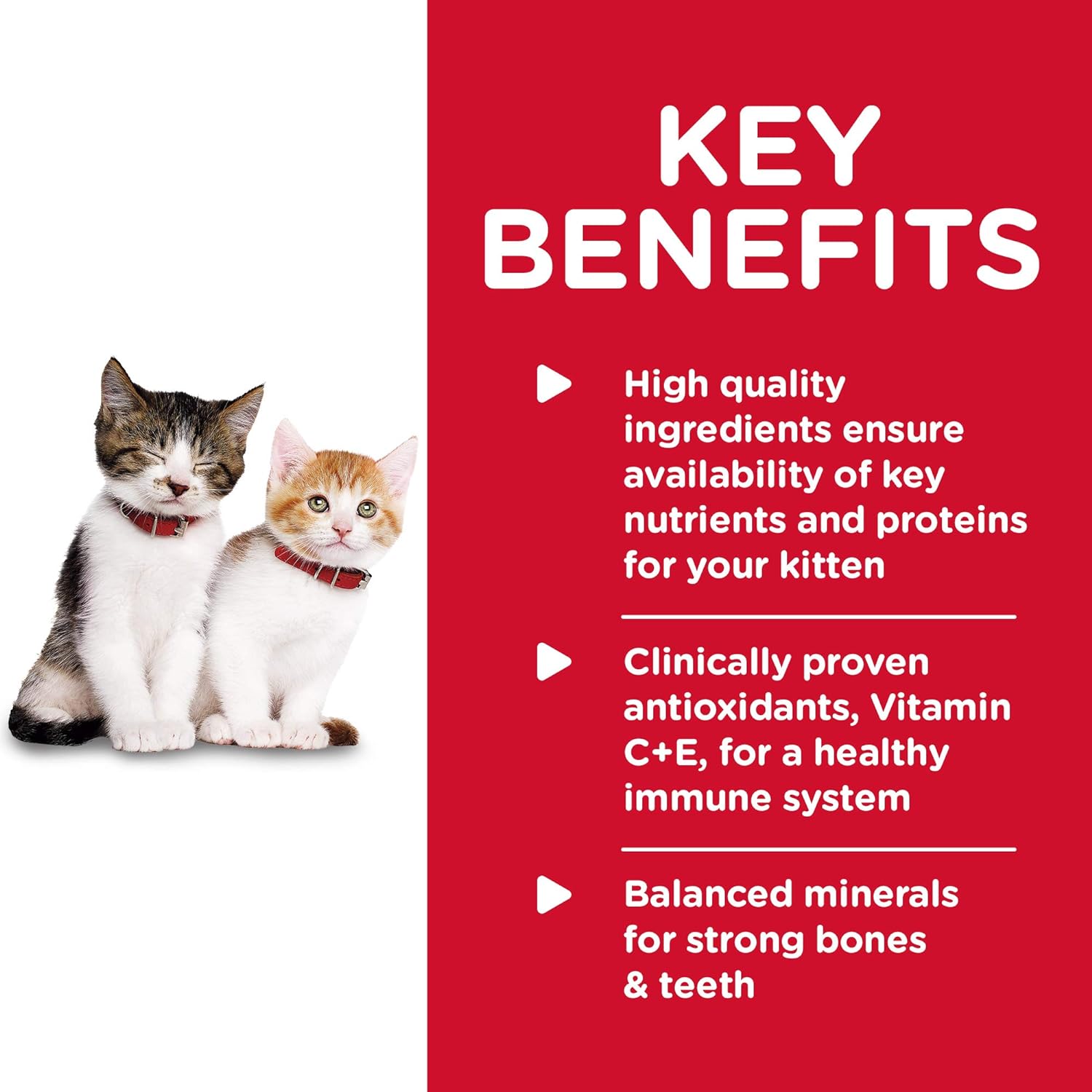 Hill's Science Diet Canned Wet Cat Food, Kitten, Healthy Cuisine, Roasted Chicken & Rice -  Wet Cat Food Hill's Science