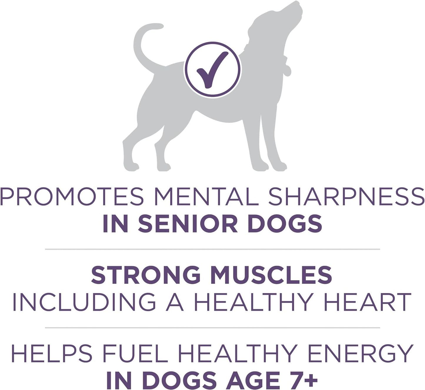 Purina ONE High Protein Dry Senior Dog Food Plus Vibrant Maturity Adult 7+ Formula -  Dry Dog Food Purina ONE