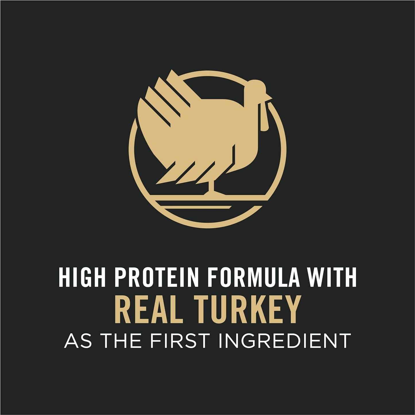 Purina Pro Plan Sensitive Skin & Stomach, Turkey & Oat Meal Formula Adult Dry Dog Food -  Dry Dog Food Purina Pro Plan