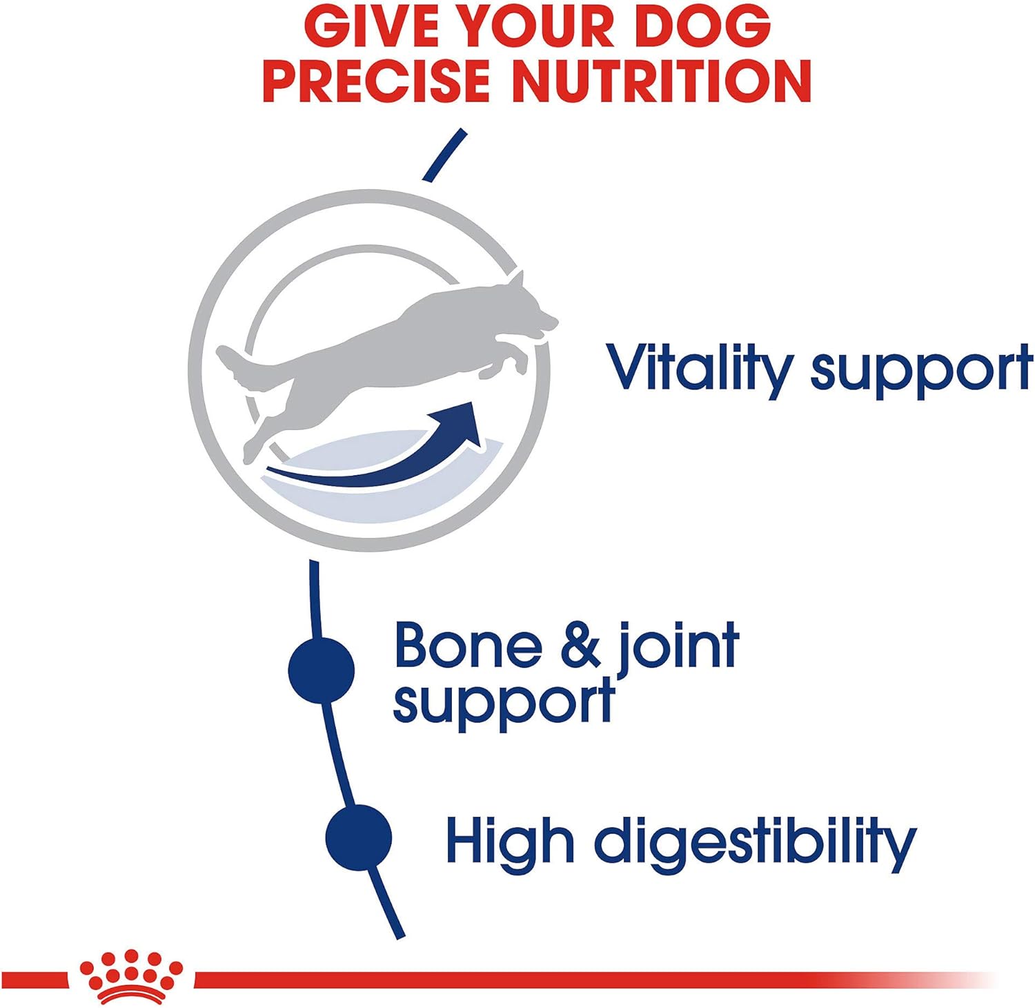Royal Canin Large Adult 5+ Dry Dog Food for Older Dogs, 30 LB -  Dry Dog Food Royal Canin