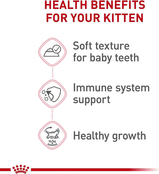 Royal Canin Feline Health Nutrition Kitten Thin Slices in Gravy Canned Cat Food -  Wet Cat Food Royal Canin