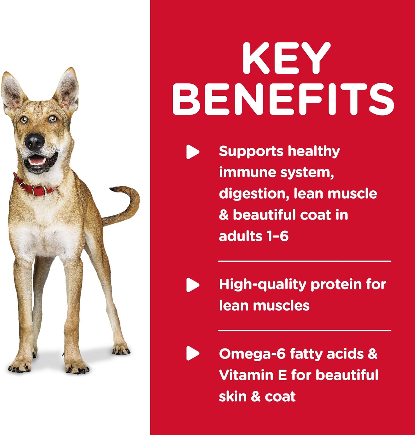 Hill's Science Diet Wet Dog Food, Adult 1-6, Chicken & Barley Entrée, 13 oz. Cans, 12-Pack -  Wet Dog Food Hill's Science