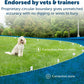 PetSafe Wireless Instant Fence Pet The Original Wireless Containment System -  Dog Gates & Pens PetSafe