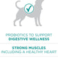 Purina One Plus Digestive Health Formula Adult Dry Dog Food Natural -  Dry Dog Food Purina ONE